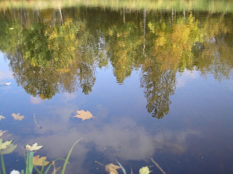  2005   