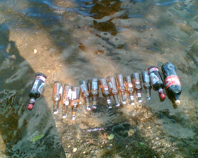 beer