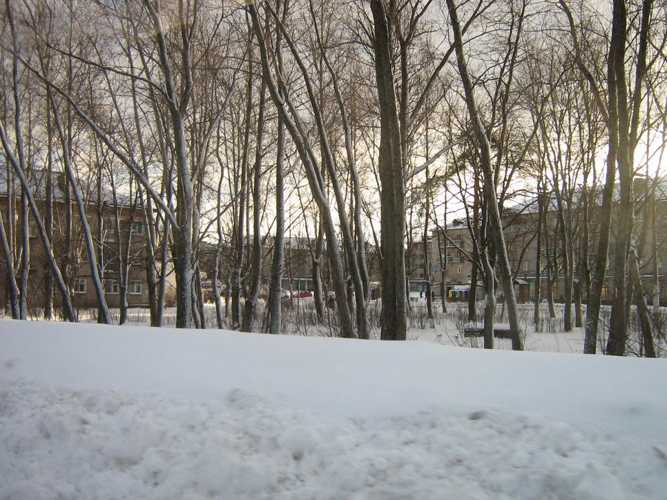 .  2008.