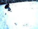 Snow Skate